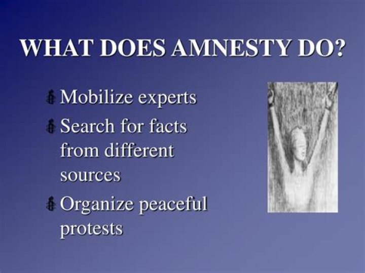 What does amnesty do?