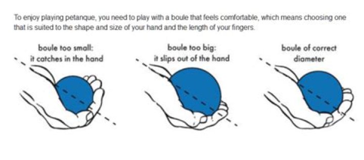 What does boule mean?