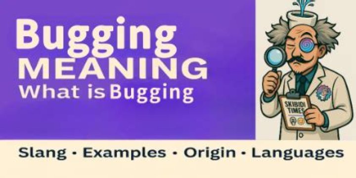 What does bugging mean in slang?