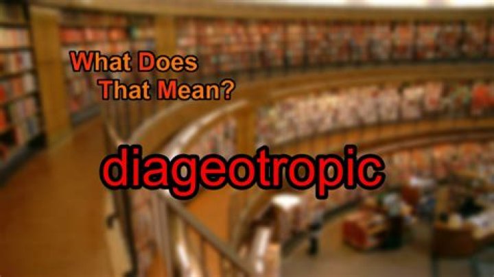 What does diageotropic meaning?