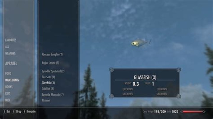 What does glassfish do?