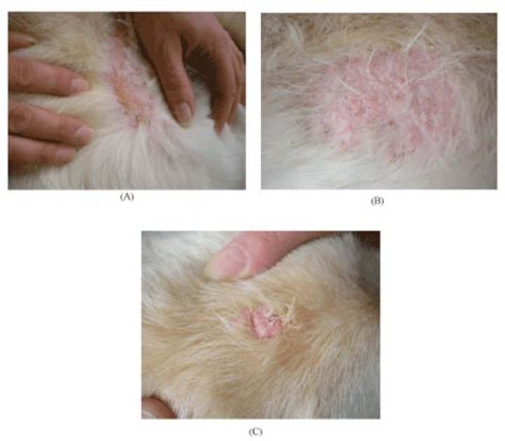 What does iatrogenically mean?