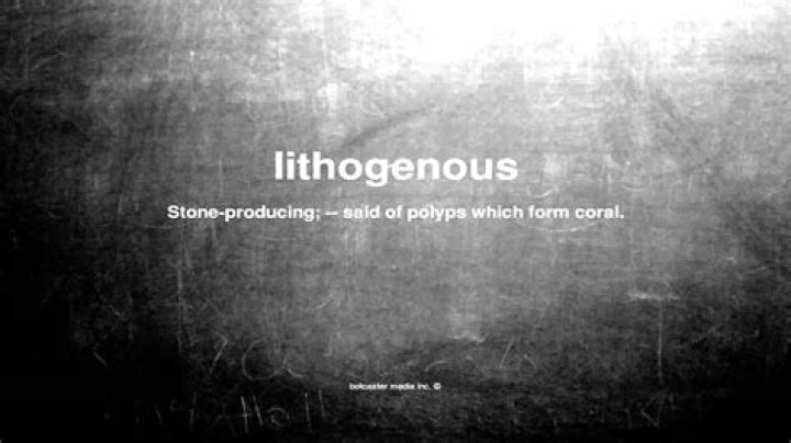What does lithogenous mean?