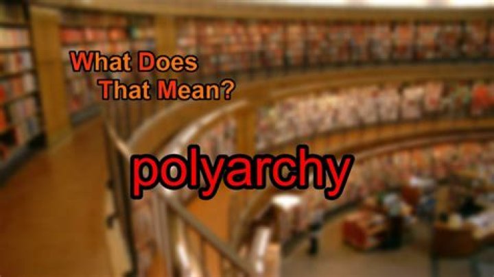 What does polyarchy meaning?