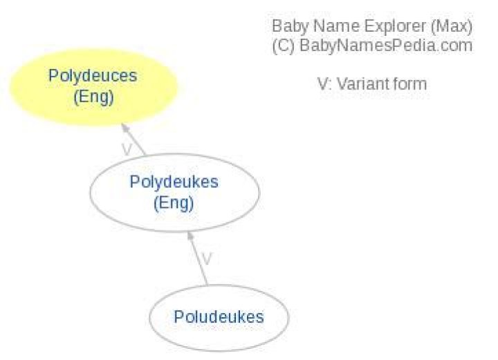 What does polydeuces mean?
