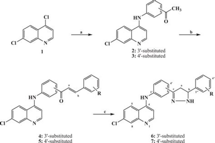 What does pyrazolone mean?