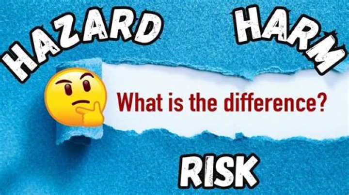 What does risk of serious harm mean?
