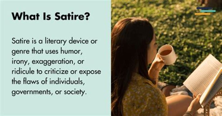 What does satire mean?