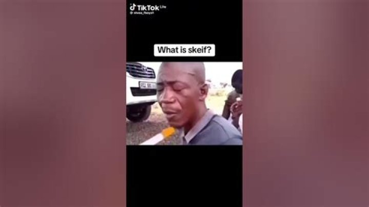 What does skeif stand for?