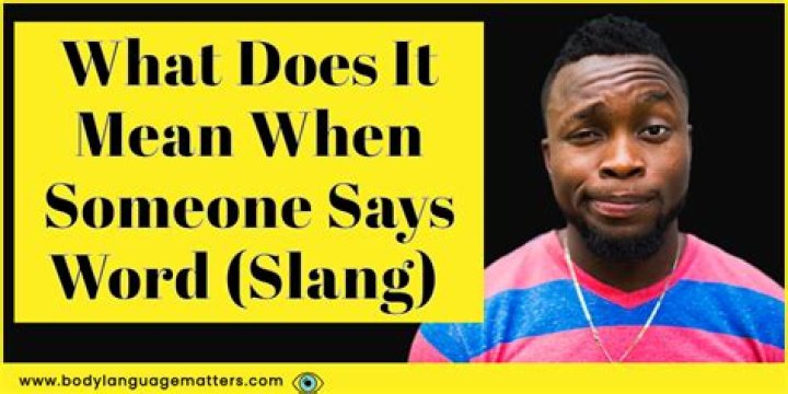 What does swilled mean in slang?