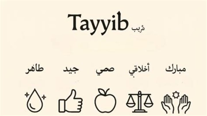 What does tayyib mean?