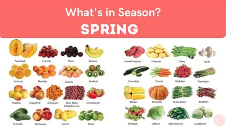 What does the word springiness?