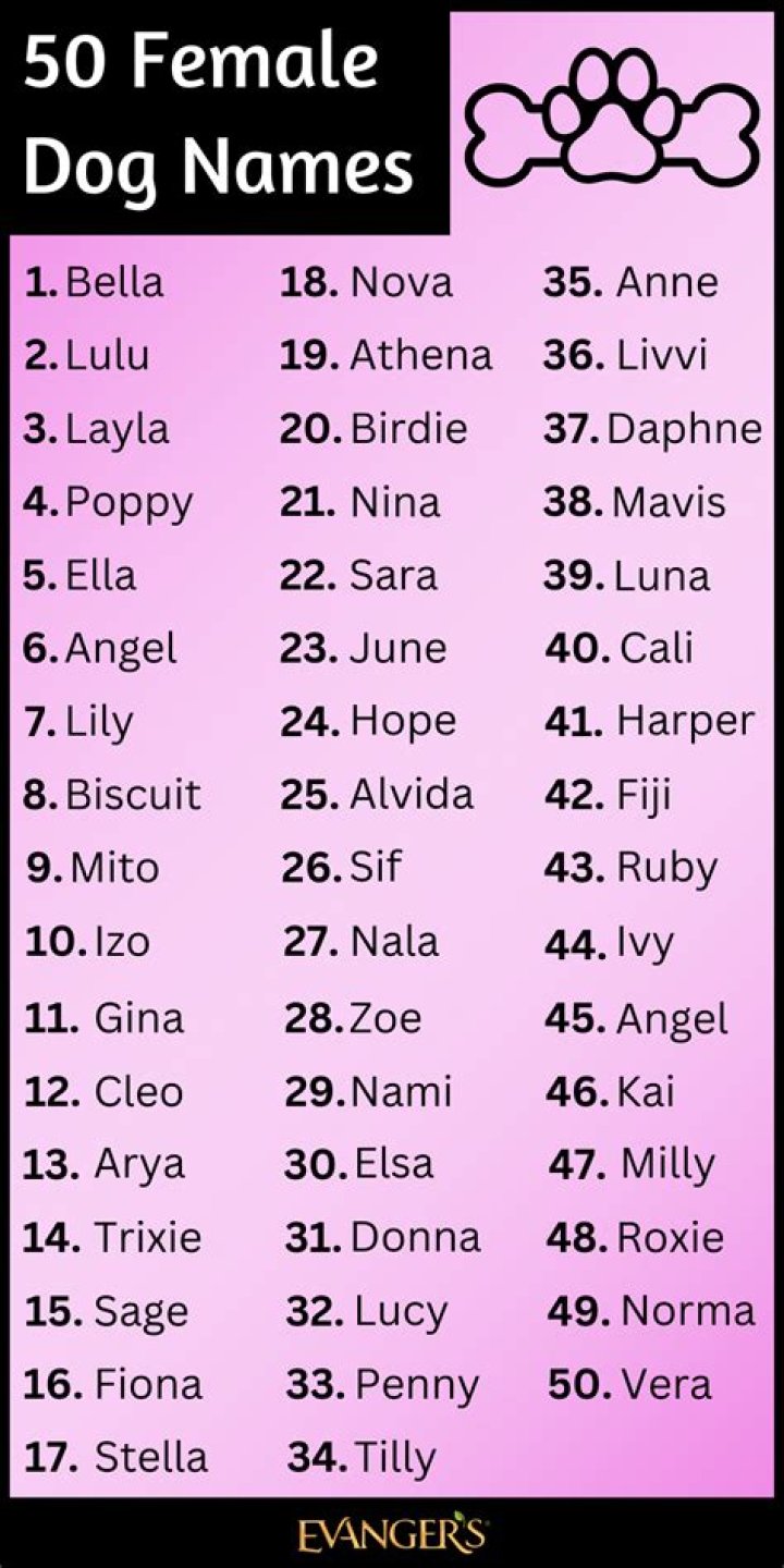 What dog name means faithful in latin?