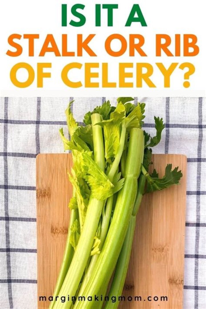 What is a stalk of celery?