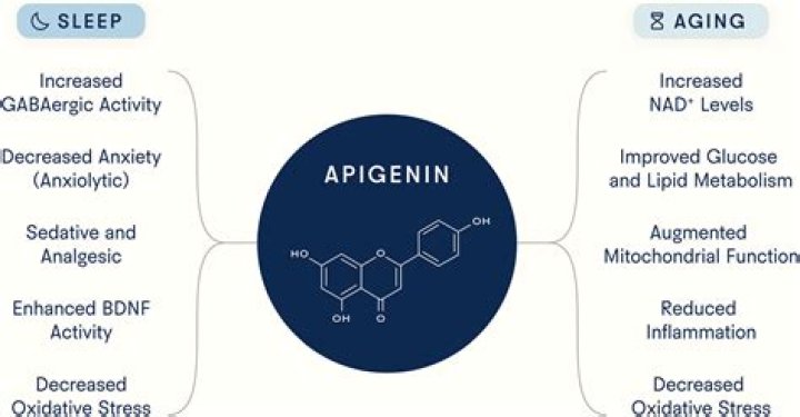 What is apigenin found in?