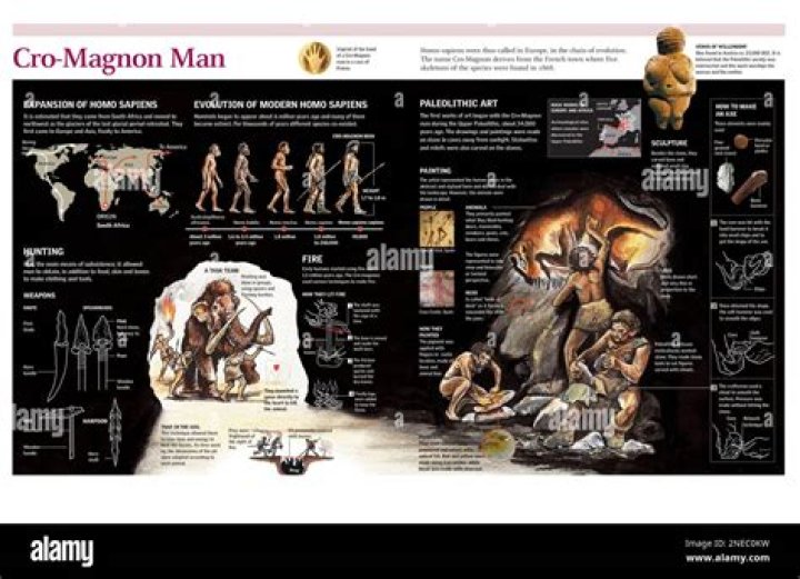 What is cro-magnon facts?