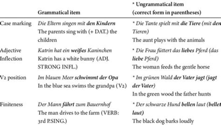 What is grammatical and ungrammatical?