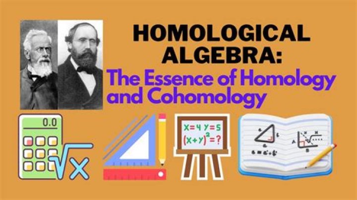 What is homological algebra?