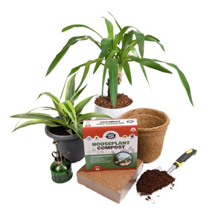 What is houseplant compost?