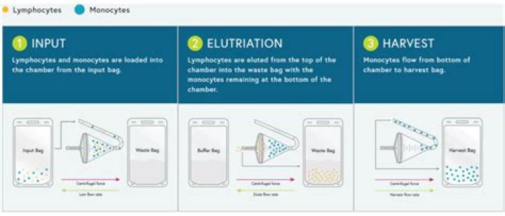 What is meaning elutriation?