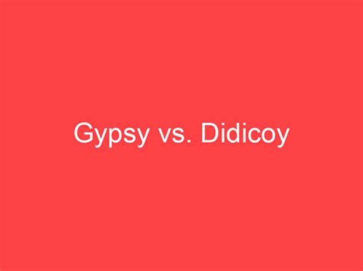 What is meant by didicoy?