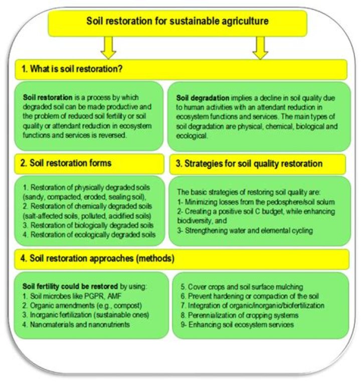 What is meant by unshapely?