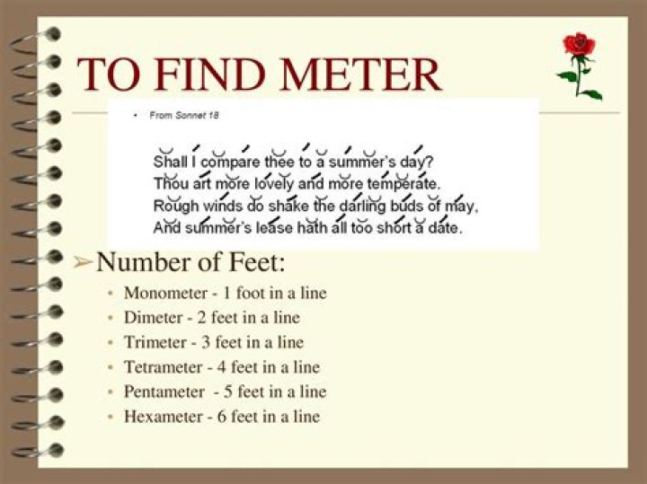 What is monometer in poetry?