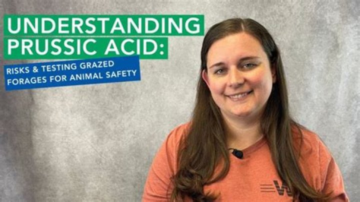 What is prussic acid used for?