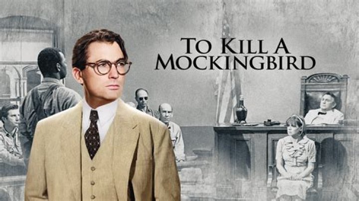 What is sinkfield in to kill a mockingbird?