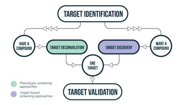 What is target deconvolution?