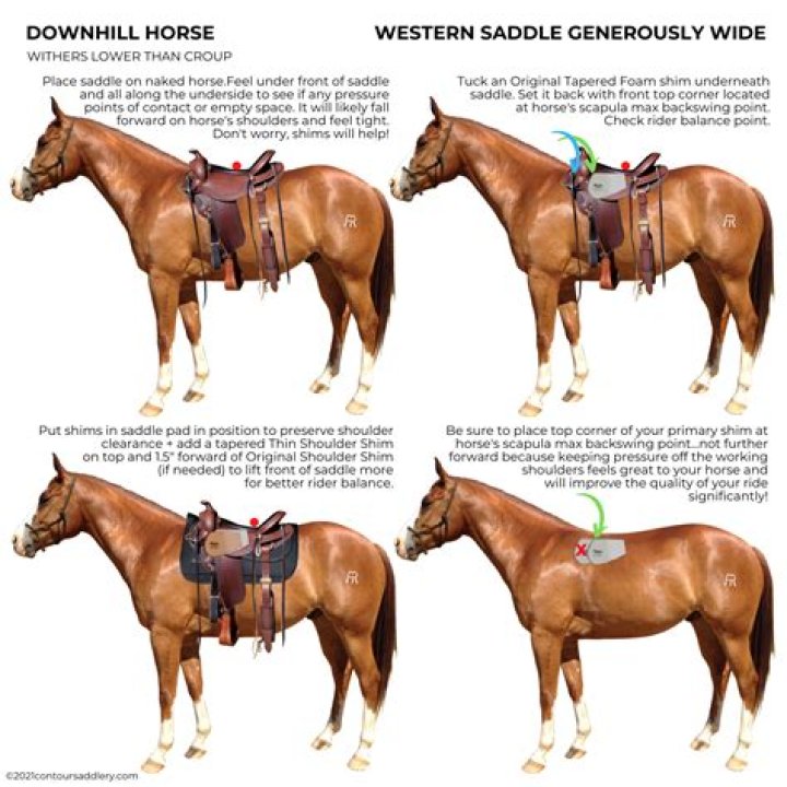 What is the best saddle for a high withered horse?