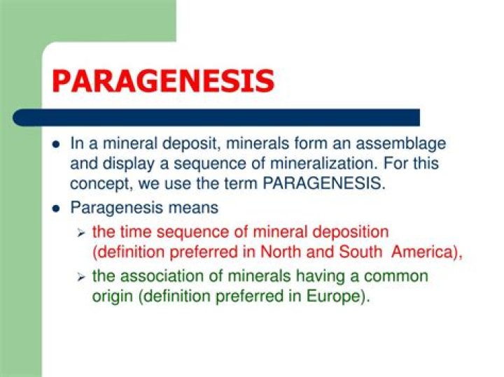 What is the paragenesis definition?