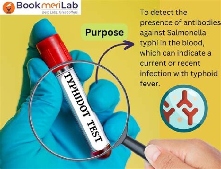 What is the purpose of aphids?