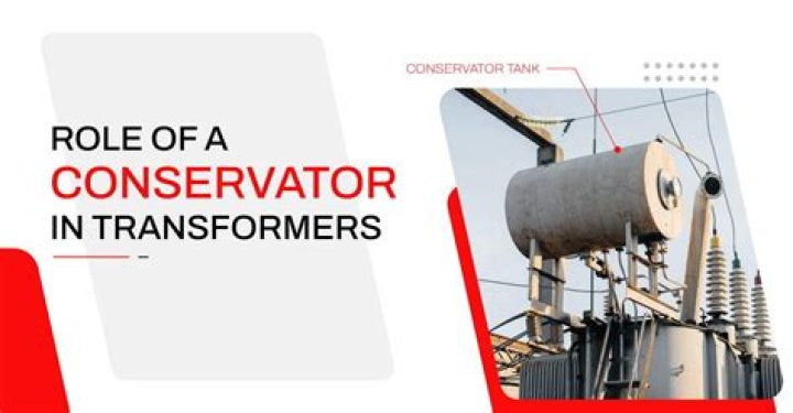 What is the role of a conservator?