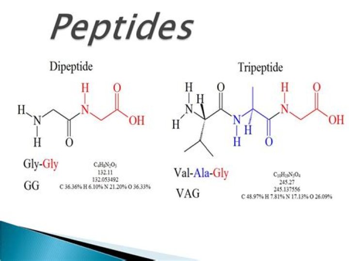 What is tryptic peptide?