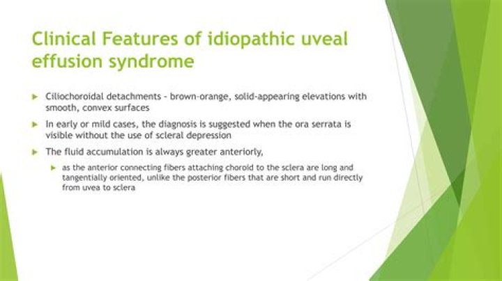 What is uveal effusion?