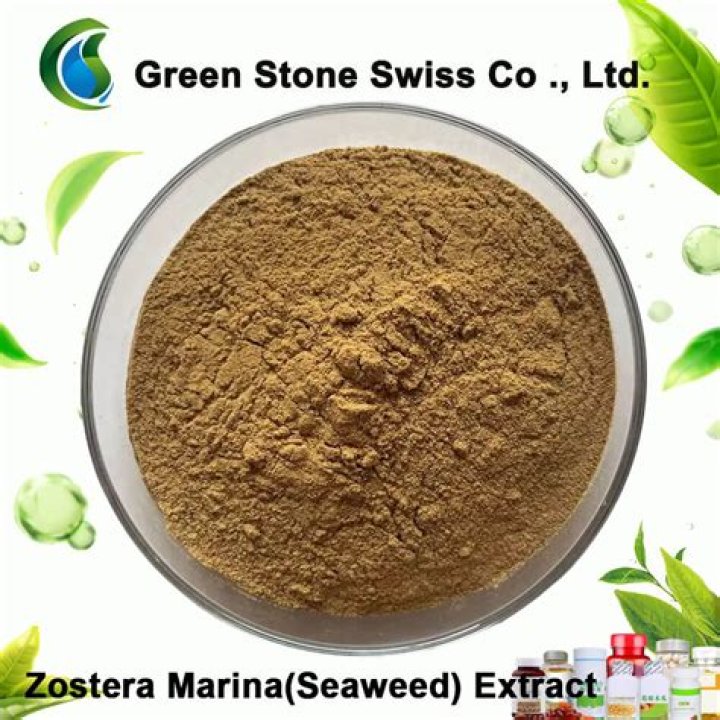 What is zostera marina extract?