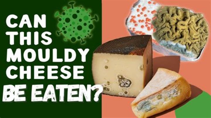 What mould can you eat?