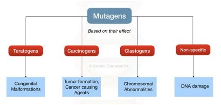 What mutagen causes cancer?