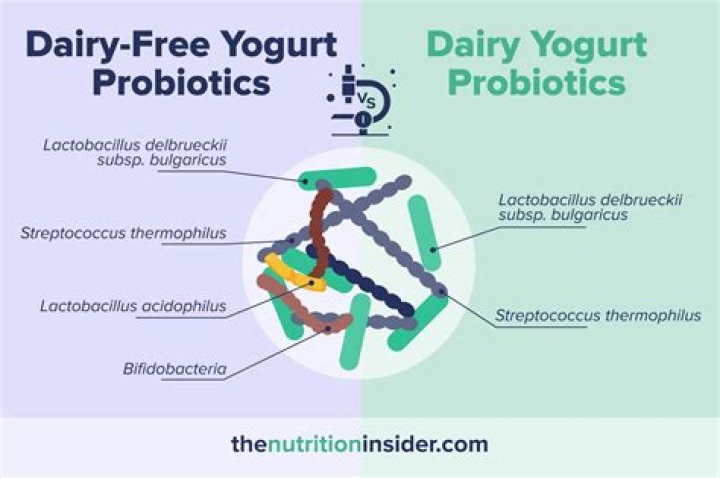 What probiotics are in fage yogurt?