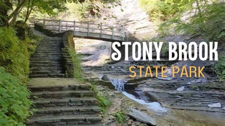 What to do in stony brook?