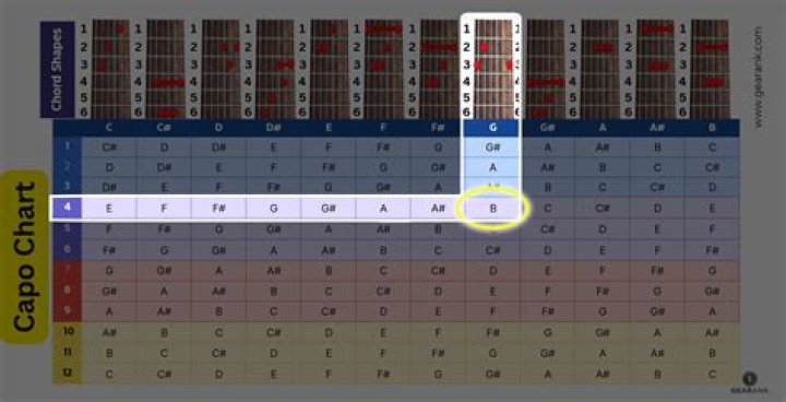 Whats a capo used for?