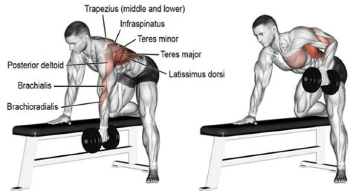 Whats a good weight for bent over rows?