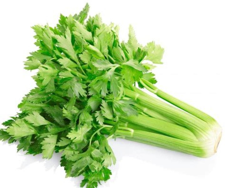 Whats a stalk of celery?