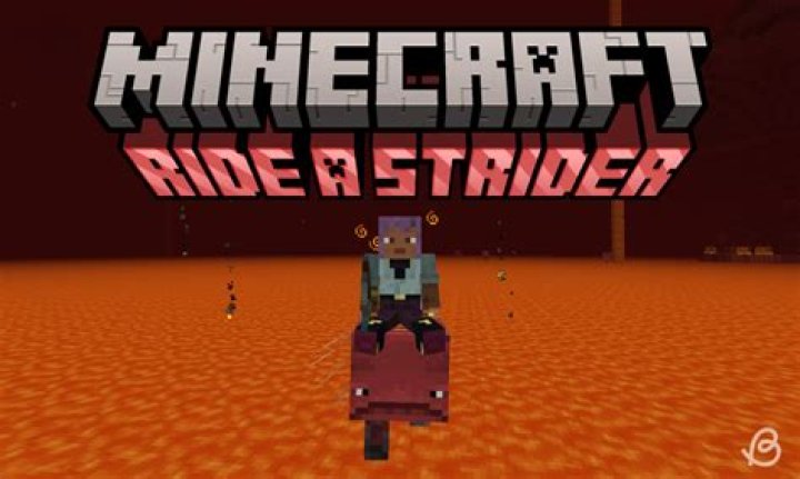 Whats a strider minecraft?