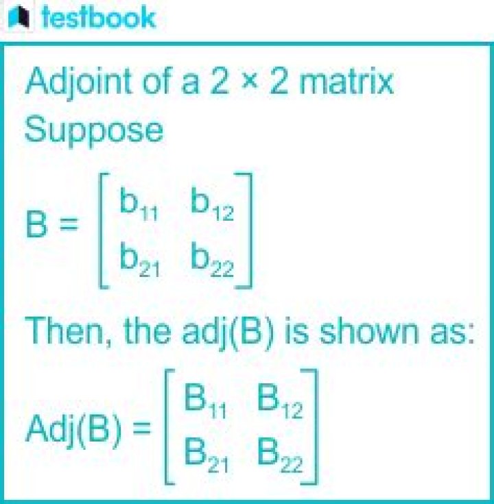 Whats adjoint in math?