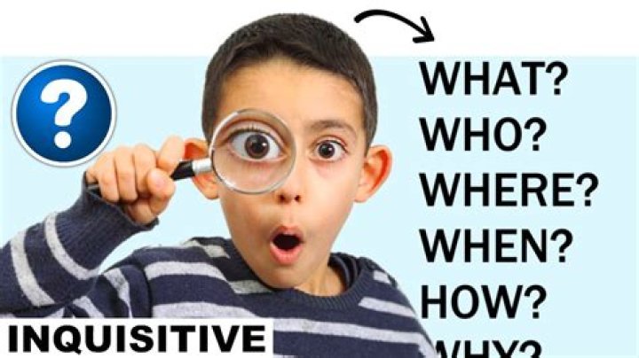 What's another word for inquisitive?