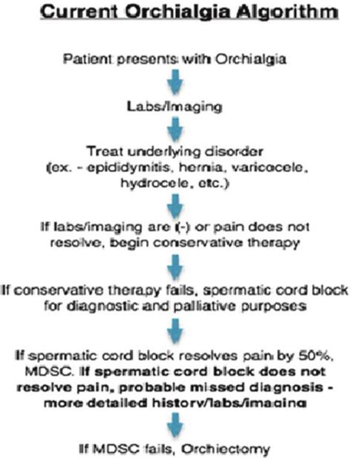 What's another word for orchialgia?