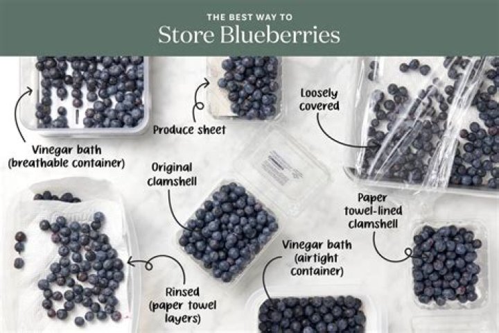 Whats the best way to store blueberries?