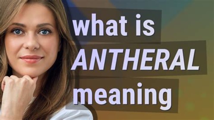 What's the definition of antheral?